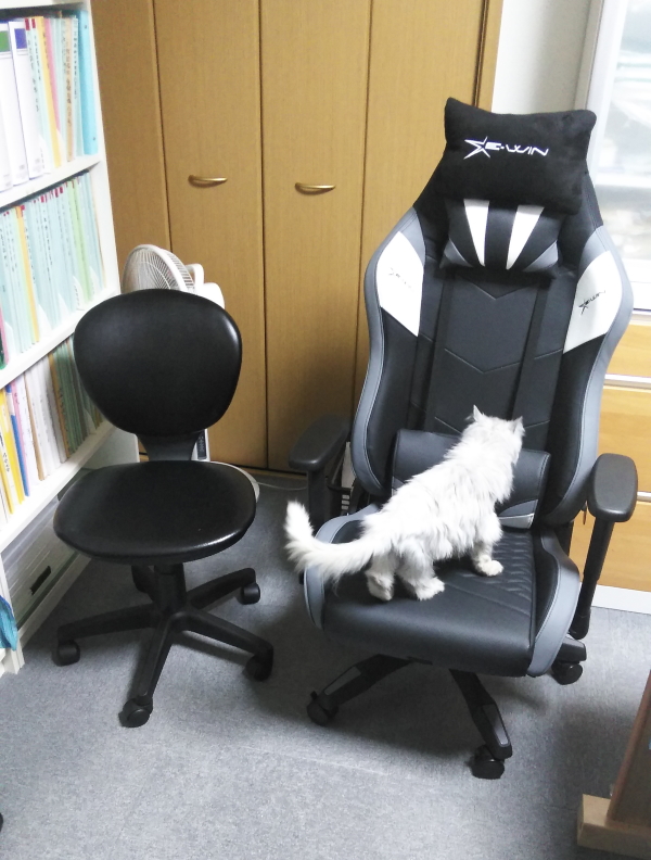 ２つの椅子と猫